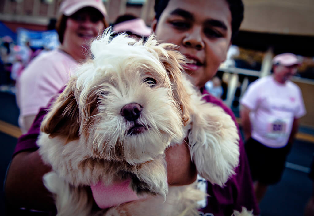 Bark and Believe Dog