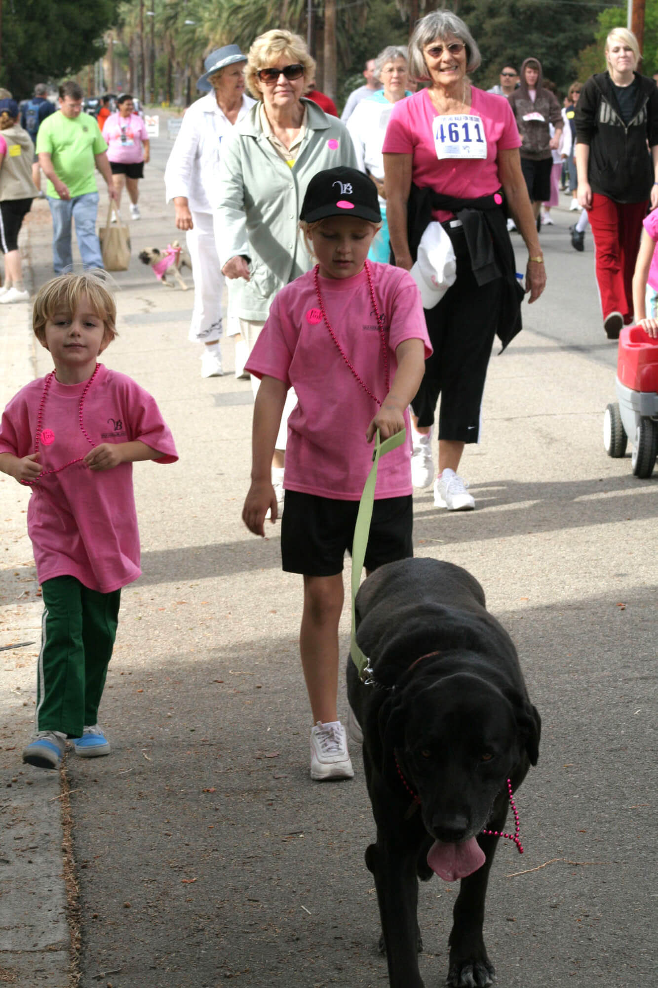 Cancer_Walk_20090453 Believe Walk Dogs